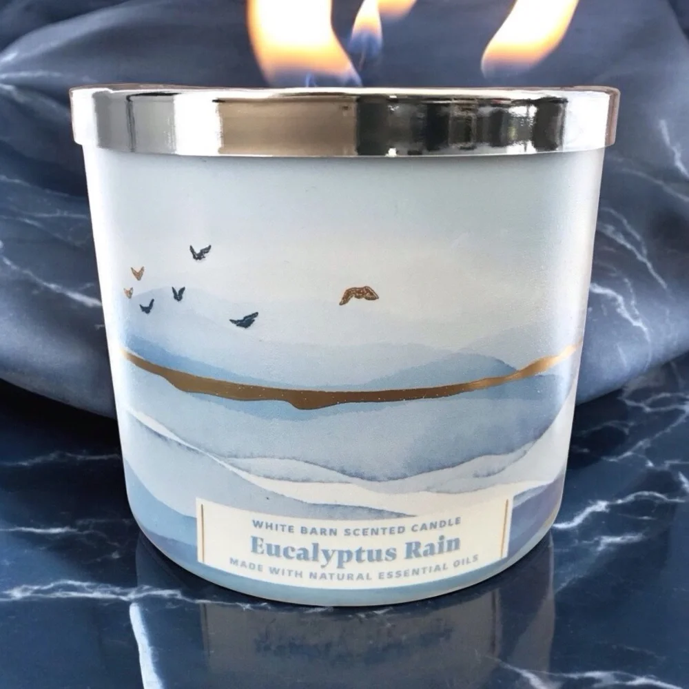 🆕40+ Hrs Eucalyptus Rain 3 Wick Candle - Picture 1 of 3